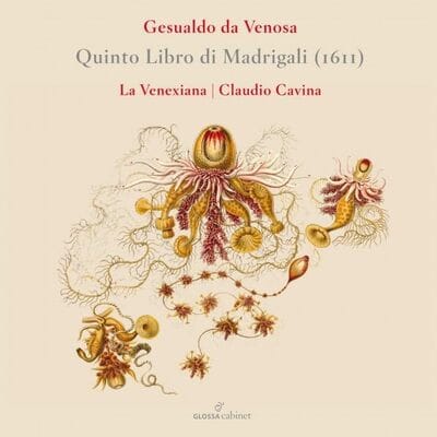 Gesualdo Da Venosa: Quinto Libro Di Madrigali (1611) - Carlo Gesualdo [CD] - Vinyl8