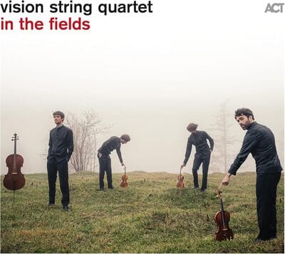 Vision String Quartet: In the Fields - Vision String Quartet [CD] - Vinyl8
