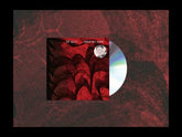 Naked Rat Dance - The Guilt [CD] - Vinyl8