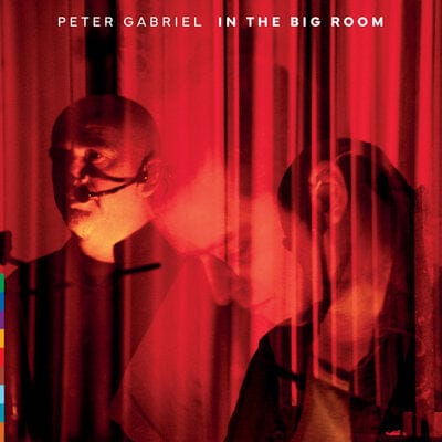 In the Big Room - Peter Gabriel [VINYL]