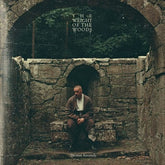 The Weight of the Woods - Dermot Kennedy [VINYL] - Vinyl8