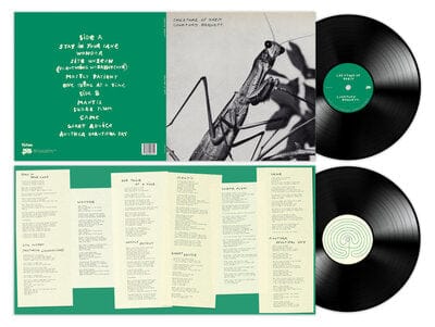 Creature of Habit - Courtney Barnett [VINYL] - Vinyl8