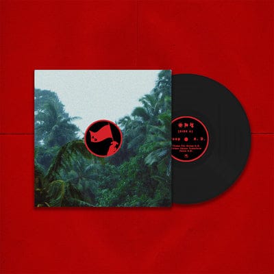 Colour Space Transform - Group A.D. [VINYL] - Vinyl8