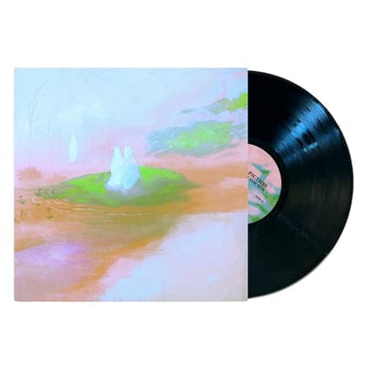 Staring at the Sun (Deluxe Edition) - Hotel Fiction [VINYL Limited Edition] - Vinyl8
