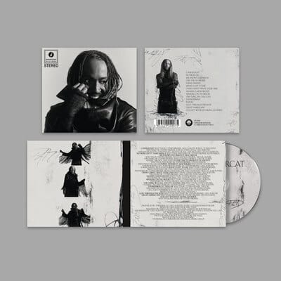 Distracted - Thundercat [CD] - Vinyl8