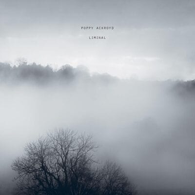 Poppy Ackroyd: Liminal - Poppy Ackroyd [VINYL]