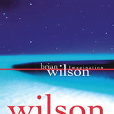 Imagination (RSD 2026) - Brian Wilson [VINYL] - Vinyl8