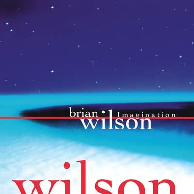 Imagination (RSD 2026) - Brian Wilson [VINYL] - Vinyl8