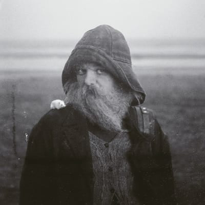Role Model Hermit - mary in the junkyard [VINYL]