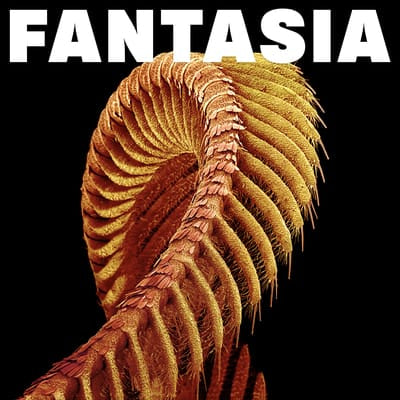 Fantasia - Slift [CD] - Vinyl8
