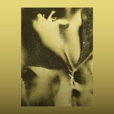 1983 (RSD 2026) - Flying Lotus [VINYL Limited Edition] - Vinyl8