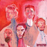 Terrestrials - Pond [VINYL]