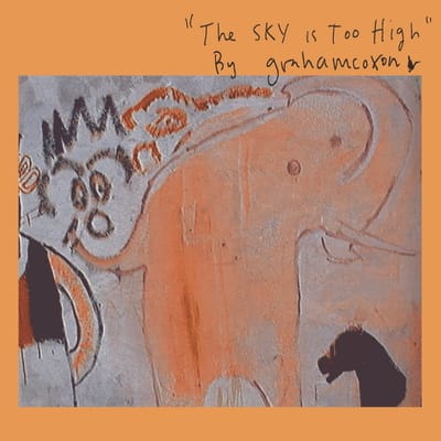 The Sky Is Too High - Graham Coxon [CD]