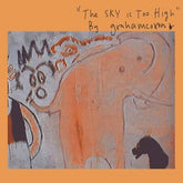 The Sky Is Too High - Graham Coxon [VINYL]