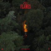 Old Flames - La Roux [VINYL] - Vinyl8