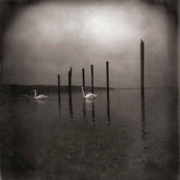 Conference of the Birds - Om [CD] - Vinyl8