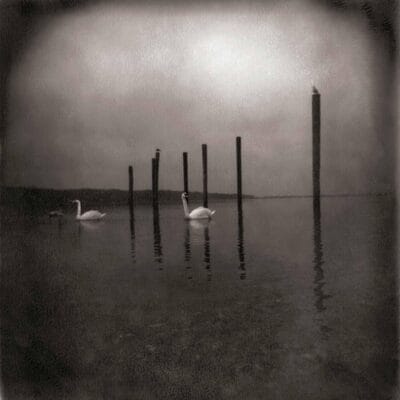 Conference of the Birds - Om [CD] - Vinyl8