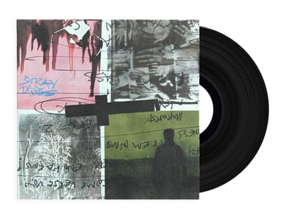 Stray Dogs - Nothing But Thieves [VINYL]