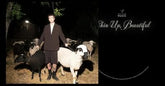 Chin Up, Beautiful - Jutes [CD]