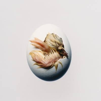 SWALLOW - Shygirl [CD] - Vinyl8