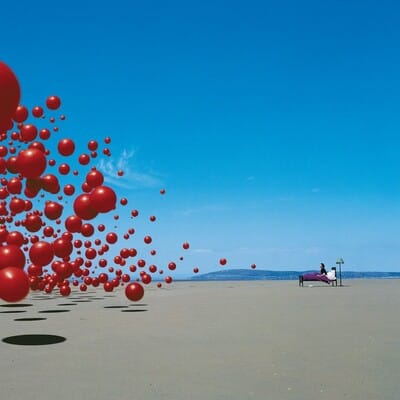 Wake Up and Smell the Coffee (25th Anniversary Edition) - The Cranberries [VINYL] - Vinyl8