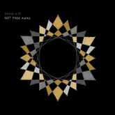 Not Fade Away - David Kitt [VINYL]