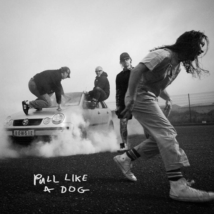 Pull Like a Dog - The Scratch [CD]