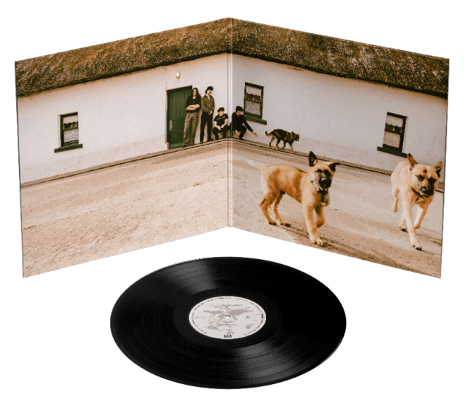 The Stone Man - The Wran [VINYL] - Vinyl8