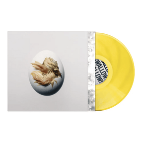 SWALLOW - Shygirl [Colour Vinyl] - Vinyl8