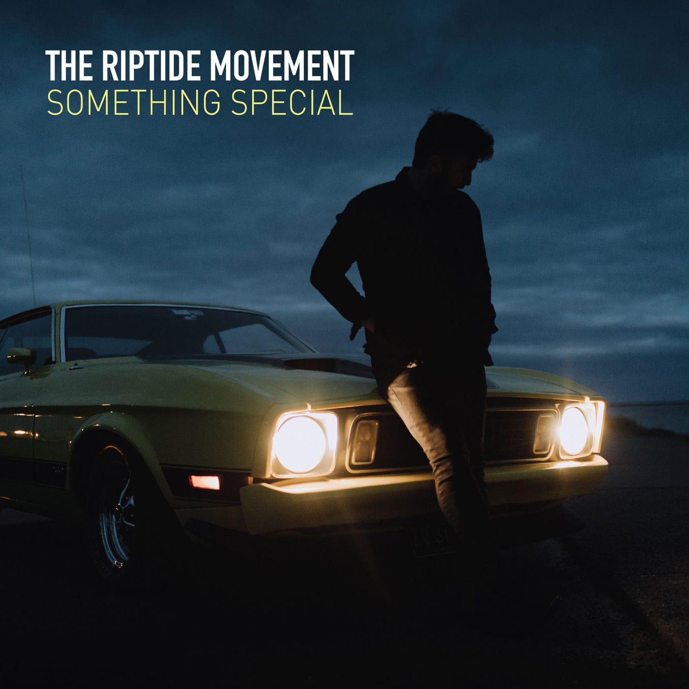 The Riptide Movement - Something Special [Vinyl]