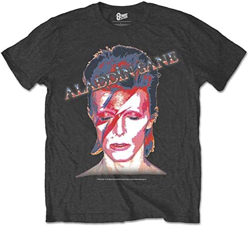 David Bowie Aladdin Sane - Large [T-Shirts]