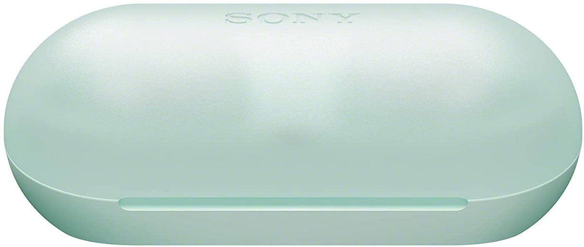 Sony WF-C500 True Wireless Earphones [Accessories]