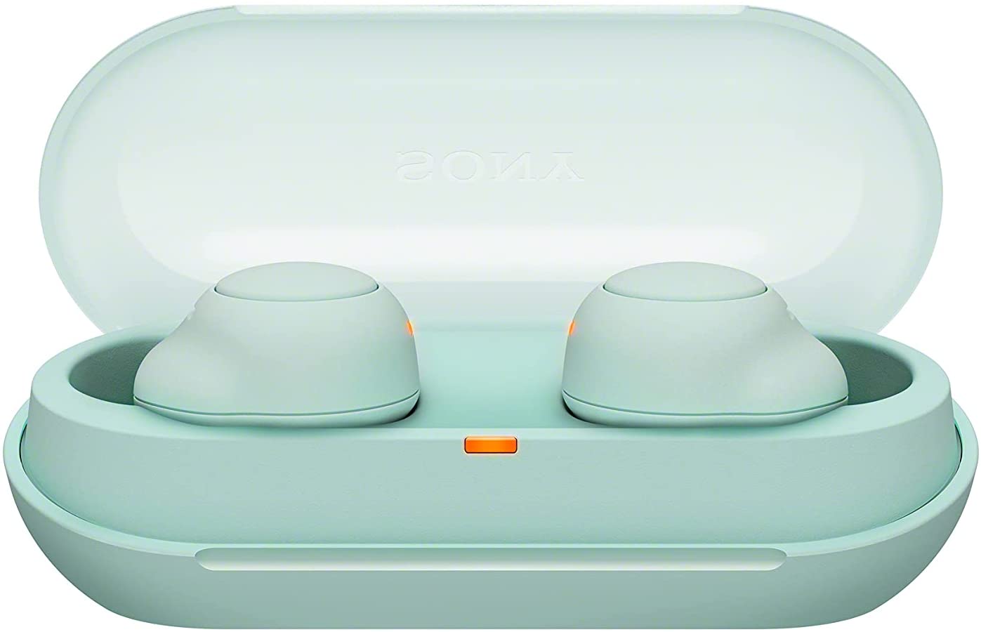 Sony WF-C500 True Wireless Earphones [Accessories]