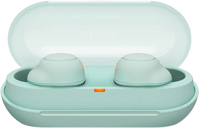 Sony WF-C500 True Wireless Earphones [Accessories]