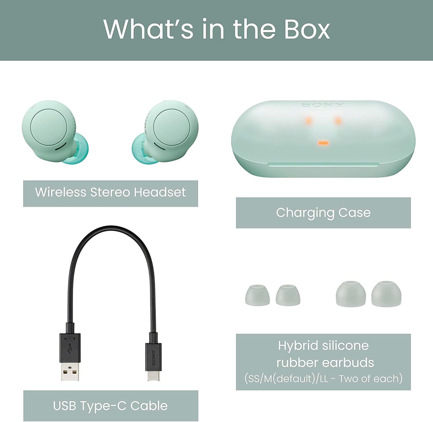 Sony WF-C500 True Wireless Earphones [Accessories]