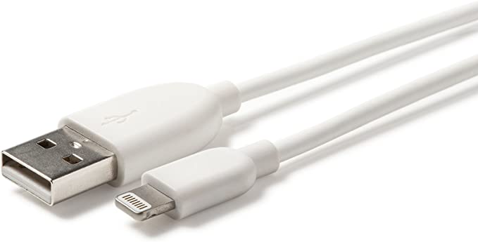 iWires 528781 USB 2.0 Plug to Lightning Plug Cable - White [Accessories]