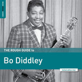 THE ROUGH GUIDE TO BO DIDDLEY [VINYL]