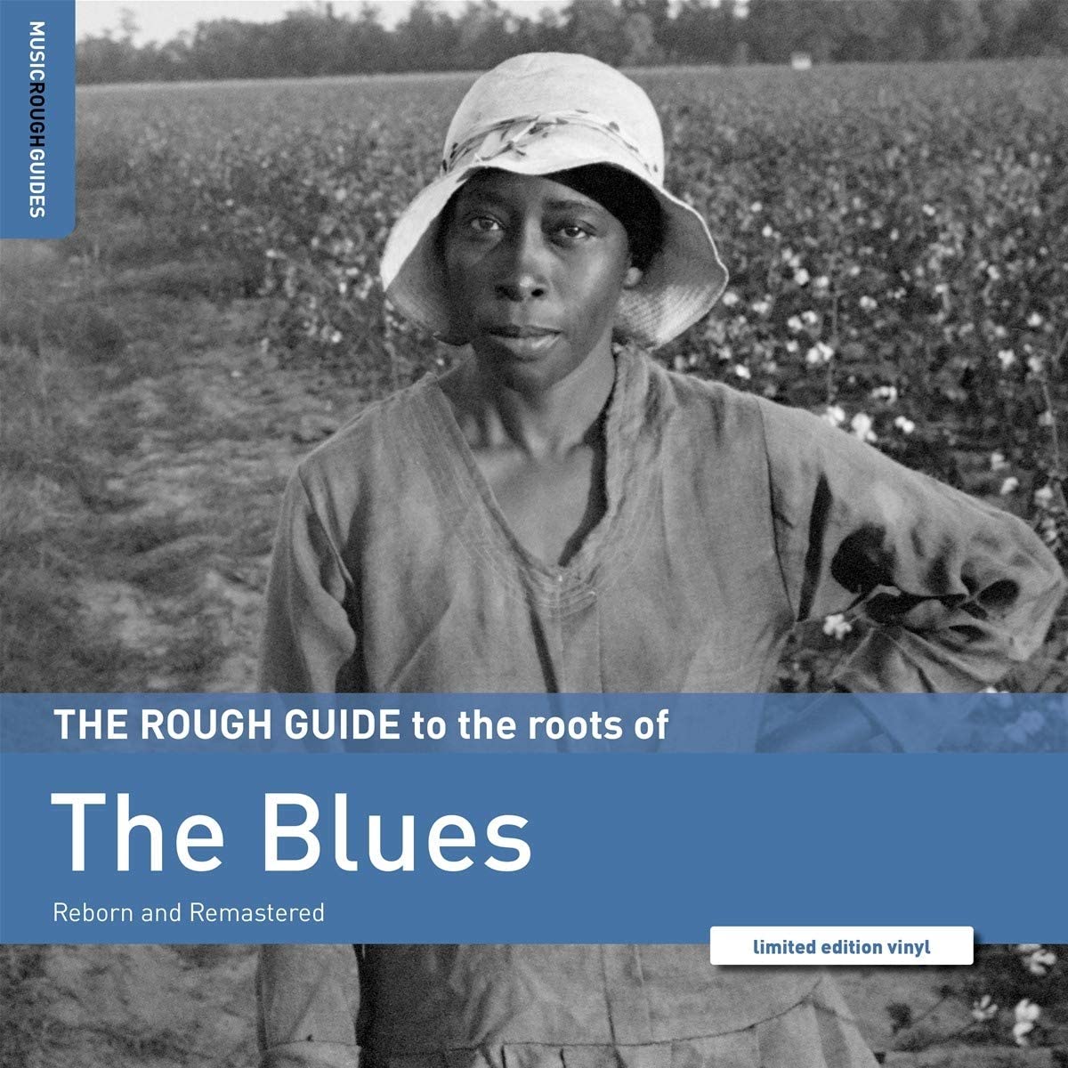 ROUGH GUIDE TO THE ROOTS OF THE BLUES [VINYL]