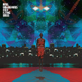 THIS IS THE PLACE - NOEL GALLAGHER [VINYL]