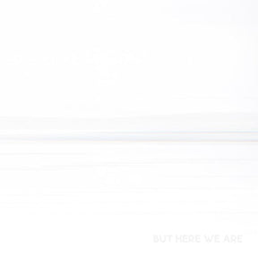 But Here We Are - Foo Fighters [Colour Vinyl]