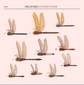 Luftwaffe Pond - The Liftmen [VINYL]