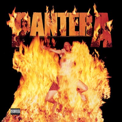 Reinventing the Steel - Pantera [VINYL]