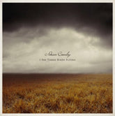 I See Three Birds Flying - Adrian Crowley [VINYL]