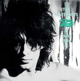 A Pagan Place - The Waterboys [VINYL]