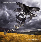 Rattle That Lock - David Gilmour [VINYL]