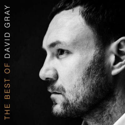 The Best of David Gray - David Gray [VINYL]