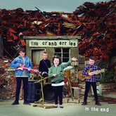 In the End:   - The Cranberries [VINYL]