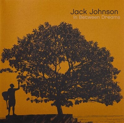 In Between Dreams - Jack Johnson [VINYL]