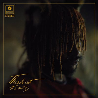 It Is What It Is:   - Thundercat [VINYL]