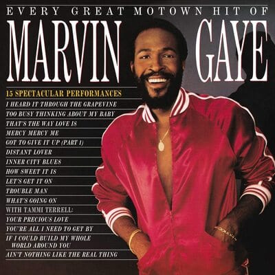 Every Great Motown Hit of Marvin Gaye - Marvin Gaye [VINYL]
